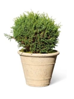Self-Watering LavaStone® Anson Pot -Cheap A Fresh Yard Store 8613255 0150