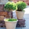 Self-Watering LavaStone® Anson Pot 1 Self-Watering LavaStone® Anson Pot -Cheap A Fresh Yard Store 8613256 0124 self watering lavastone anson pot