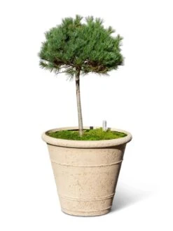 Self-Watering LavaStone® Anson Pot -Cheap A Fresh Yard Store 8613256 0138