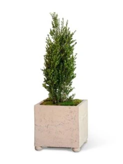 Self-Watering LavaStone® Modern Square -Cheap A Fresh Yard Store 8613258 26