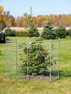 Tall Chicken Wire Critter Fence Extension Panel, Set Of 2 19 Tall Chicken Wire Critter Fence Extension Panel, Set Of 2 -Cheap A Fresh Yard Store 8613260 0030 1