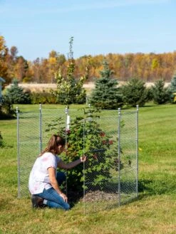 Tall Chicken Wire Critter Fence Extension Panel, Set Of 2 21 Tall Chicken Wire Critter Fence Extension Panel, Set Of 2 -Cheap A Fresh Yard Store 8613260 0044 1