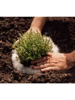 Hortiwool ®, 5 Pad Pack -Cheap A Fresh Yard Store 8613263 06v