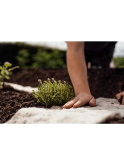 Hortiwool ®, Starter Garden Pad 9 Hortiwool ®, Starter Garden Pad -Cheap A Fresh Yard Store 8613263 09v