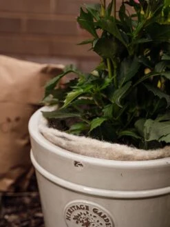 Hortiwool ®, 5 Pad Pack -Cheap A Fresh Yard Store 8613263 17v