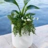 Arden Round Planter 1 Arden Round Planter -Cheap A Fresh Yard Store 8613267 0112 arden round planter