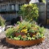 Birdies™ Corten Steel Round Raised Bed, Large, Low -Cheap A Fresh Yard Store 8613290 0099 birdies corten steel tiered round raised bed kit