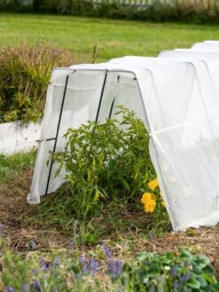 Zenith Garden Hoops, Set Of 4 -Cheap A Fresh Yard Store 8613313 0133 1