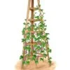 Cedar Obelisk, 8' -Cheap A Fresh Yard Store 8613322 art flat wooden obelisk