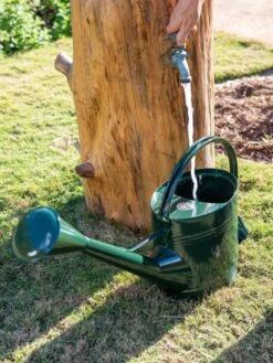 Long Reach Watering Can, Large -Cheap A Fresh Yard Store 8613346 0147