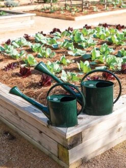 Long Reach Watering Can, Large -Cheap A Fresh Yard Store 8613346 0148 1