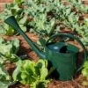 Long Reach Watering Can, Large -Cheap A Fresh Yard Store 8613346 0149