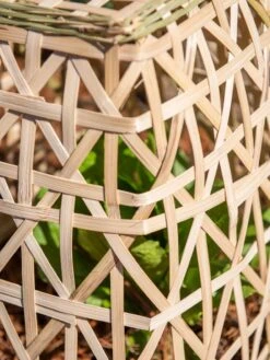 Bamboo Cloche, Set Of 2 19 Bamboo Cloche, Set Of 2 -Cheap A Fresh Yard Store 8613351 0153