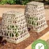 Bamboo Cloche, Set Of 2 -Cheap A Fresh Yard Store 8613351 12