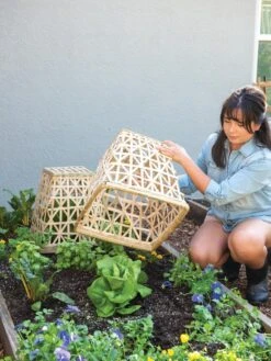 Bamboo Cloche, Set Of 2 15 Bamboo Cloche, Set Of 2 -Cheap A Fresh Yard Store 8613351 6862