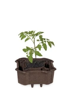 ECO Deluxe Tomato Halo, Set Of 2 -Cheap A Fresh Yard Store 8613481 1009