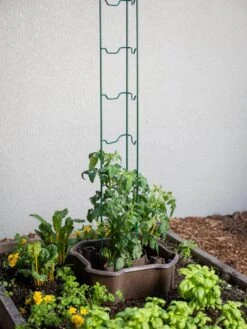 ECO Deluxe Tomato Halo, Set Of 2 -Cheap A Fresh Yard Store 8613481 6594