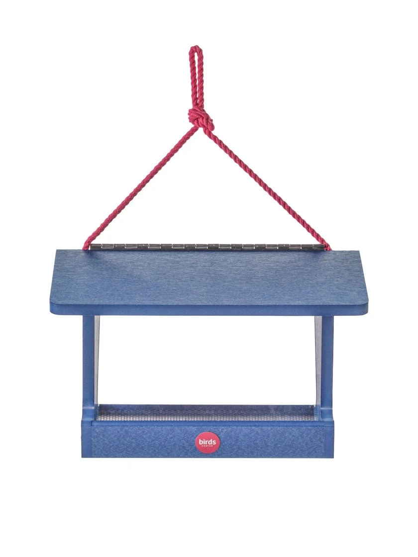 Color Pop Hopper Bird Feeder 5 Color Pop Hopper Bird Feeder - Image 3