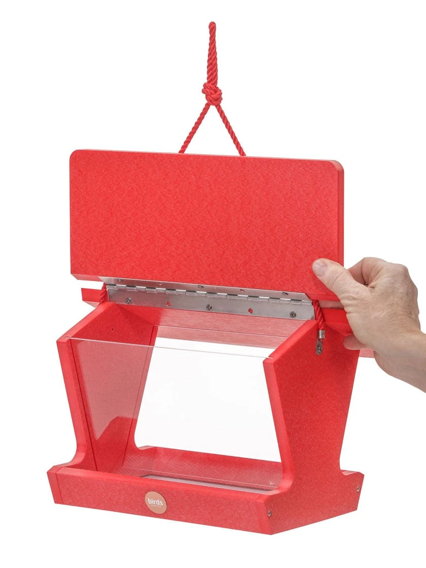 Color Pop Hopper Bird Feeder 4 Color Pop Hopper Bird Feeder - Image 2