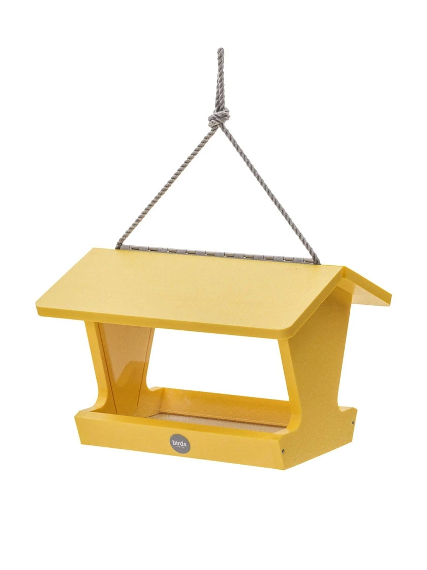 Color Pop Hopper Bird Feeder 3 Color Pop Hopper Bird Feeder