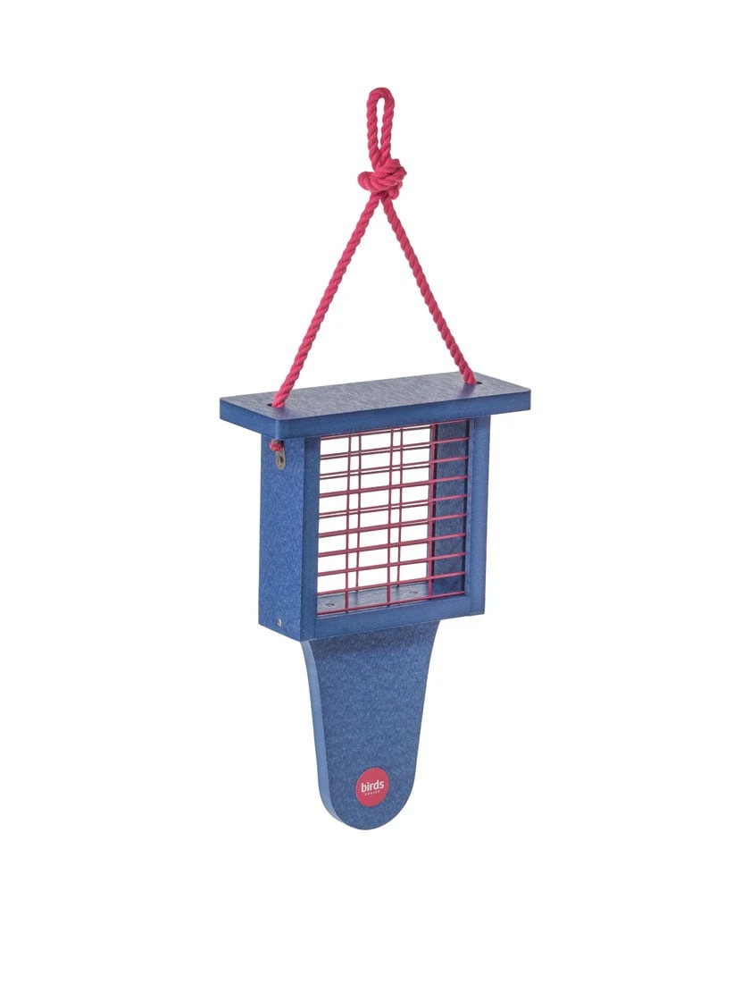 Color Pop Suet Feeder With Tail Prop From Recycled Plastic 4 Color Pop Suet Feeder With Tail Prop From Recycled Plastic - Image 2