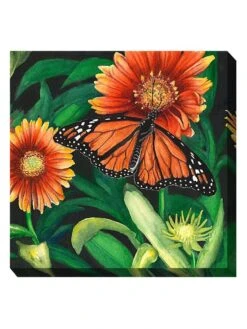 Monarch Outdoor Wall Art 7 Monarch Outdoor Wall Art -Cheap A Fresh Yard Store 8613939 01V 3 4