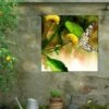 Butterfly Kiss Outdoor Wall Art -Cheap A Fresh Yard Store 8613998 02V butterfly kiss outdoor wall art