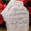 Planted To Celebrate A Life Well Lived Memorial Stone 1 Planted To Celebrate A Life Well Lived Memorial Stone -Cheap A Fresh Yard Store 8614139 01V 3 4 planted to celebrate a life memorial stone