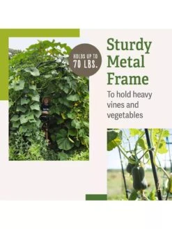 Titan Squash Tunnel 13 Titan Squash Tunnel -Cheap A Fresh Yard Store B07932DMCR plantsupport benefits 2