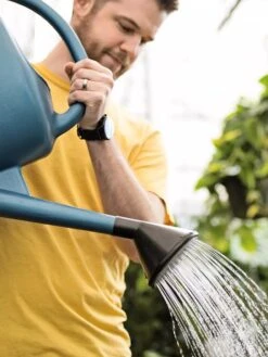 French Blue Watering Can -Cheap A Fresh Yard Store ChrisAhrensSquare 0118 tif