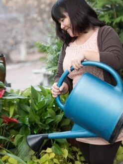 French Blue Watering Can -Cheap A Fresh Yard Store EmilyHoangSquare 0151 tif