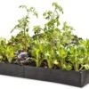 Grow Bed Extension Kit 1 Grow Bed Extension Kit -Cheap A Fresh Yard Store GS37503 01 tif