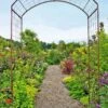 Jardin Rose Arch -Cheap A Fresh Yard Store GS38690 02 rose trellis tif