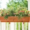 39" Self-Watering Window Box 1 39" Self-Watering Window Box -Cheap A Fresh Yard Store gs34503 01
