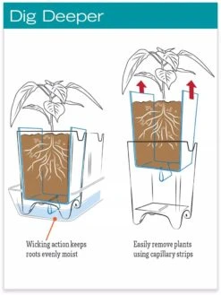 Stoneware Self-Watering Windowsill Planters, Set Of 2 -Cheap A Fresh Yard Store hiw 8593943 jpg