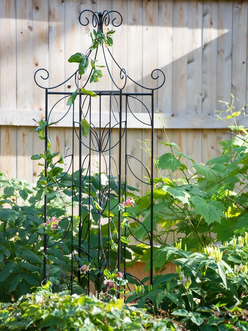 Cheap A Fresh Yard Store -Cheap A Fresh Yard Store 8611658 035 tif